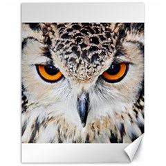 Owl Face Canvas 18  X 24   by Sapixe