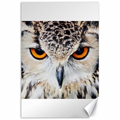 Owl Face Canvas 24  X 36  by Sapixe