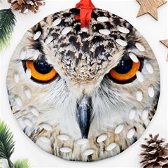 Owl Face Round Filigree Ornament (two Sides) by Sapixe