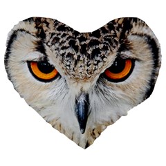 Owl Face Large 19  Premium Heart Shape Cushions by Sapixe