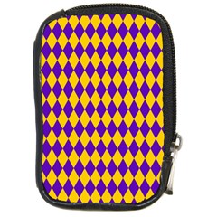 Real Jester Compact Camera Cases by jumpercat