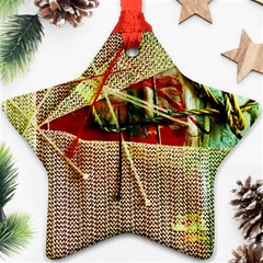 Hidden Strings Of Purity 12 Ornament (star) by bestdesignintheworld