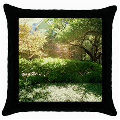 Highland Park 19 Throw Pillow Case (black) by bestdesignintheworld