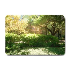 Highland Park 19 Small Doormat  by bestdesignintheworld