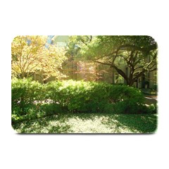 Highland Park 19 Plate Mats by bestdesignintheworld