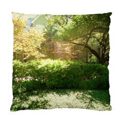 Highland Park 19 Standard Cushion Case (two Sides) by bestdesignintheworld