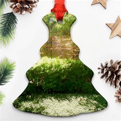 Highland Park 19 Christmas Tree Ornament (two Sides) by bestdesignintheworld