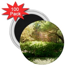 Highland Park 19 2 25  Magnets (100 Pack)  by bestdesignintheworld