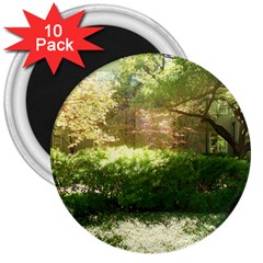 Highland Park 19 3  Magnets (10 Pack)  by bestdesignintheworld