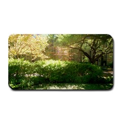 Highland Park 19 Medium Bar Mats by bestdesignintheworld