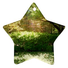 Highland Park 19 Star Ornament (two Sides) by bestdesignintheworld