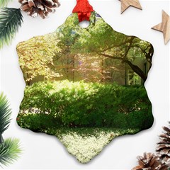 Highland Park 19 Ornament (snowflake) by bestdesignintheworld