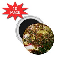 Highland Park 18 1 75  Magnets (10 Pack)  by bestdesignintheworld