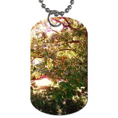 Highland Park 18 Dog Tag (two Sides)