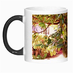 Highland Park 18 Morph Mugs by bestdesignintheworld