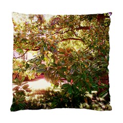 Highland Park 18 Standard Cushion Case (one Side) by bestdesignintheworld