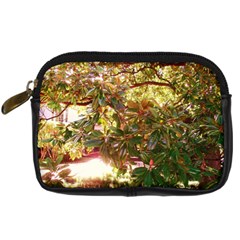 Highland Park 18 Digital Camera Cases by bestdesignintheworld