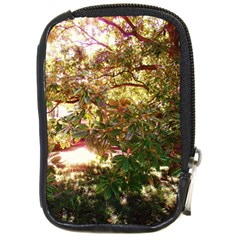 Highland Park 18 Compact Camera Cases by bestdesignintheworld