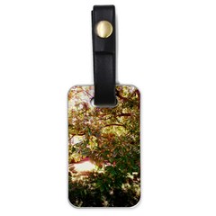 Highland Park 18 Luggage Tags (one Side)  by bestdesignintheworld