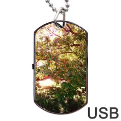 Highland Park 18 Dog Tag Usb Flash (one Side) by bestdesignintheworld