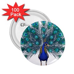 Peacock Bird Peacock Feathers 2 25  Buttons (100 Pack)  by Sapixe