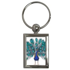 Peacock Bird Peacock Feathers Key Chains (rectangle)  by Sapixe