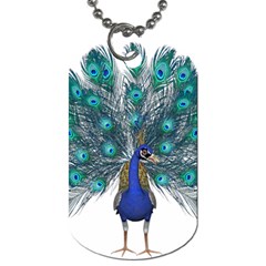 Peacock Bird Peacock Feathers Dog Tag (one Side) by Sapixe