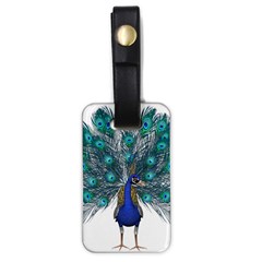 Peacock Bird Peacock Feathers Luggage Tags (one Side)  by Sapixe