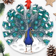 Peacock Bird Peacock Feathers Round Filigree Ornament (two Sides) by Sapixe