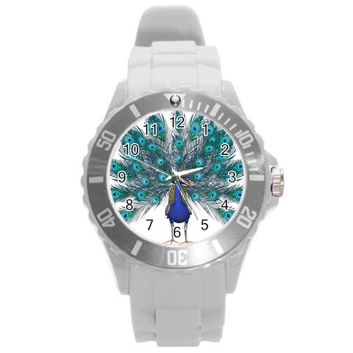 Peacock Bird Peacock Feathers Round Plastic Sport Watch (L)