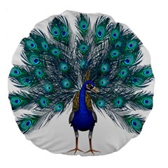 Peacock Bird Peacock Feathers Large 18  Premium Flano Round Cushions by Sapixe