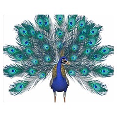 Peacock Bird Peacock Feathers Double Sided Flano Blanket (medium)  by Sapixe