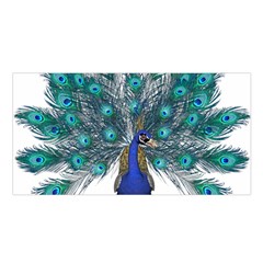 Peacock Bird Peacock Feathers Satin Shawl by Sapixe