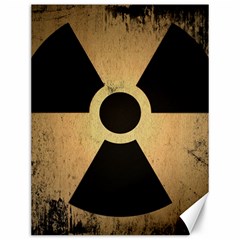 Radioactive Warning Signs Hazard Canvas 12  X 16   by Sapixe