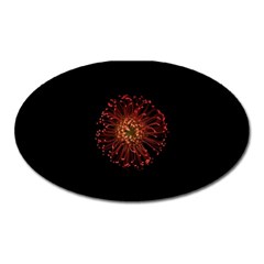 Red Flower Blooming In The Dark Oval Magnet by Sapixe