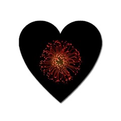 Red Flower Blooming In The Dark Heart Magnet by Sapixe