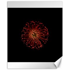 Red Flower Blooming In The Dark Canvas 16  X 20   by Sapixe