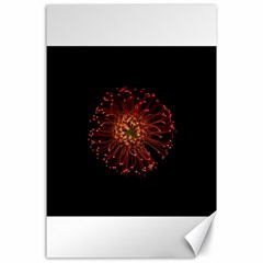 Red Flower Blooming In The Dark Canvas 24  X 36  by Sapixe