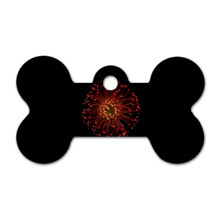 Red Flower Blooming In The Dark Dog Tag Bone (Two Sides)