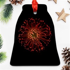 Red Flower Blooming In The Dark Bell Ornament (two Sides) by Sapixe