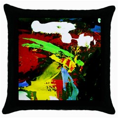 Balboa   Island On A Sand 20 Throw Pillow Case (black) by bestdesignintheworld