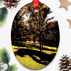 Highland Park 17 Ornament (oval) by bestdesignintheworld