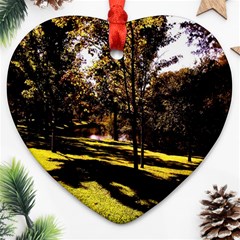 Highland Park 17 Ornament (heart) by bestdesignintheworld