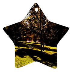 Highland Park 17 Star Ornament (two Sides) by bestdesignintheworld