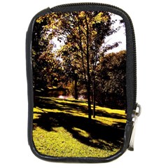 Highland Park 17 Compact Camera Cases by bestdesignintheworld