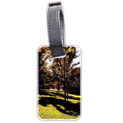 Highland Park 17 Luggage Tags (two Sides) by bestdesignintheworld