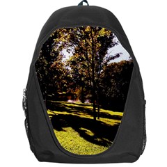 Highland Park 17 Backpack Bag by bestdesignintheworld