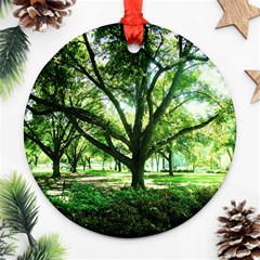 Highland Park 14 Ornament (round) by bestdesignintheworld