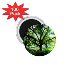 Highland Park 14 1 75  Magnets (100 Pack)  by bestdesignintheworld