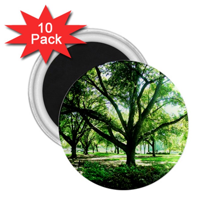 Highland Park 14 2.25  Magnets (10 pack) 